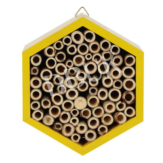 Wooden Bee House