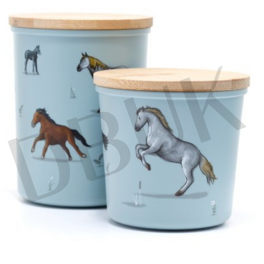 Set of 2 Willow Farm Recycled Storage Jars