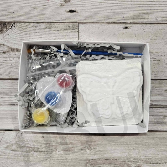 Paint Your Own Butterfly Bath Bomb Kit