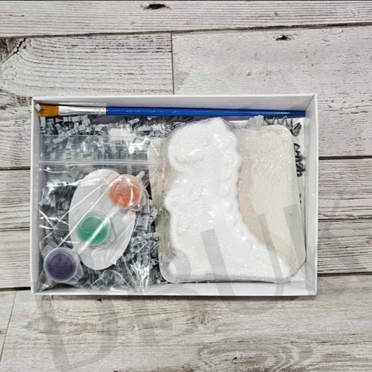 Paint Your Own Dinosaur Bath Bomb Kit