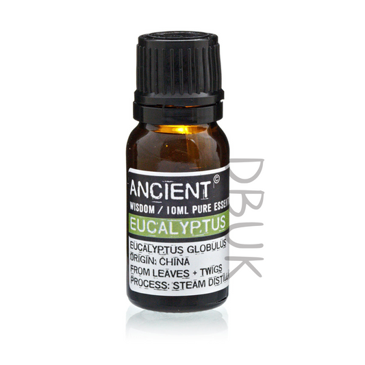 10ml Essential Oil - Eucalyptus