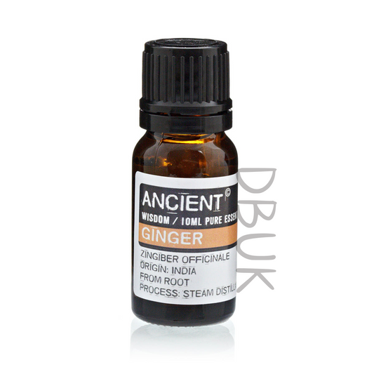 10ml Essential Oil - Ginger