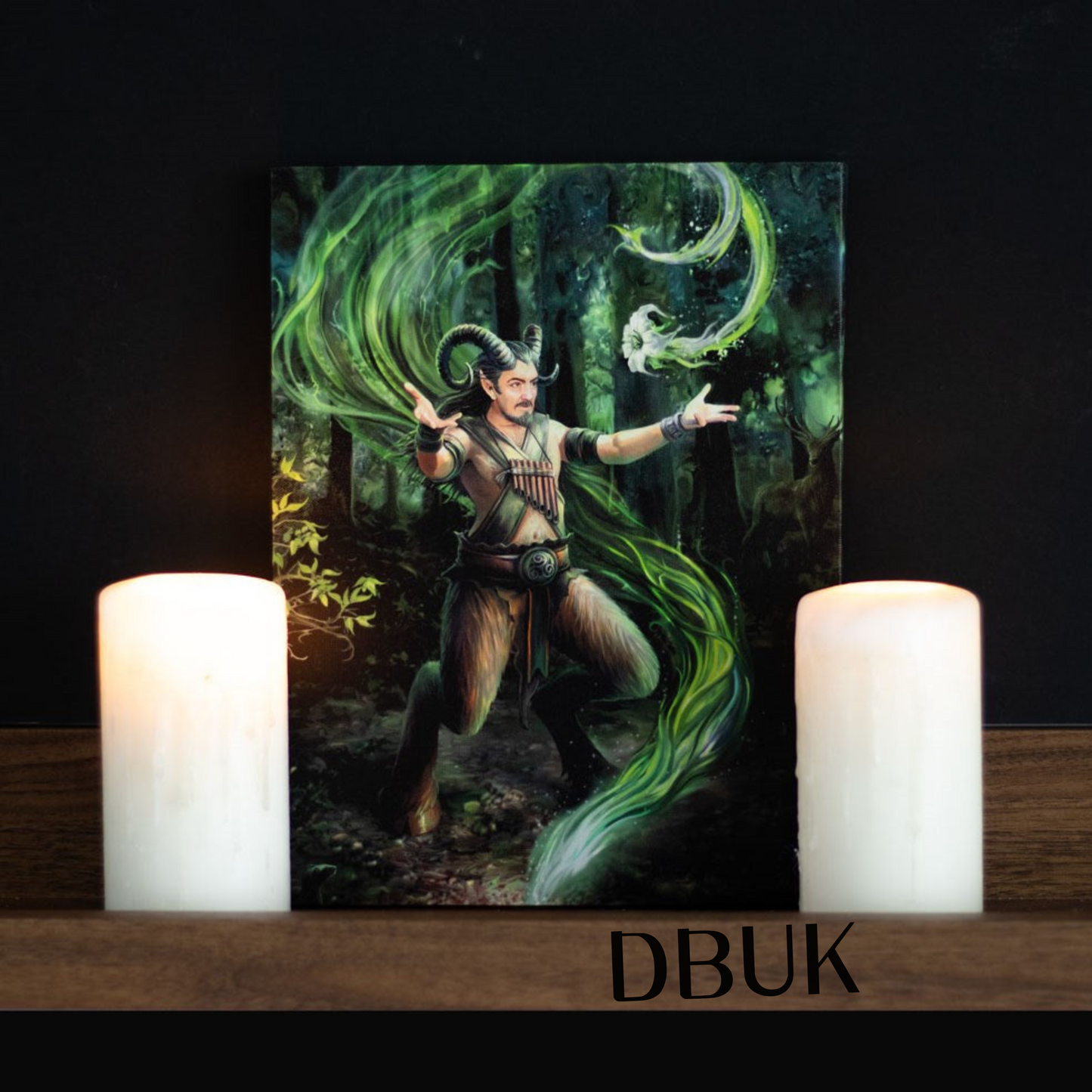 19cm x 25cm Earth Element Wizard Canvas Plaque by Anne Stokes
