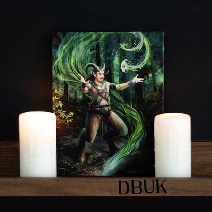 19cm x 25cm Earth Element Wizard Canvas Plaque by Anne Stokes