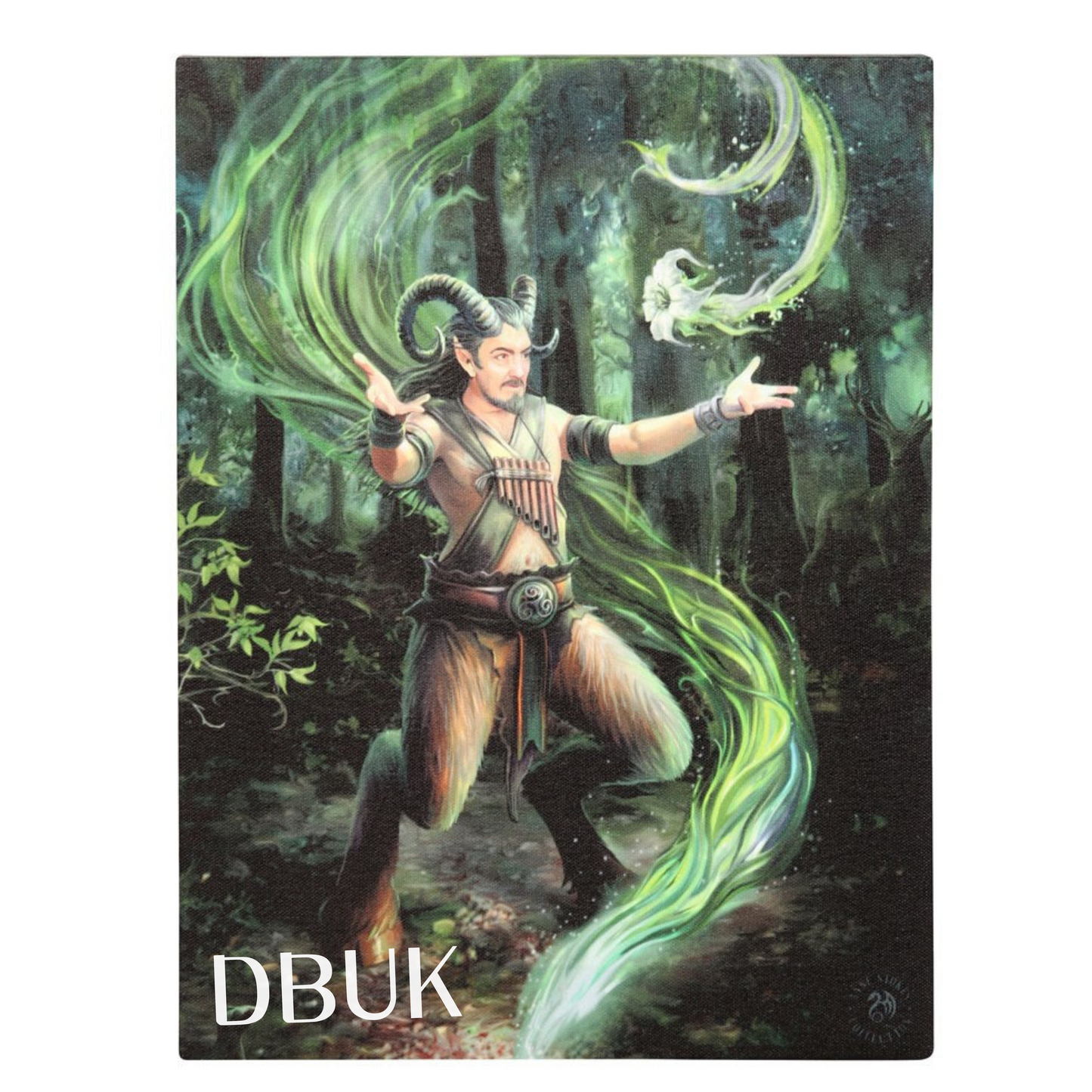 19cm x 25cm Earth Element Wizard Canvas Plaque by Anne Stokes