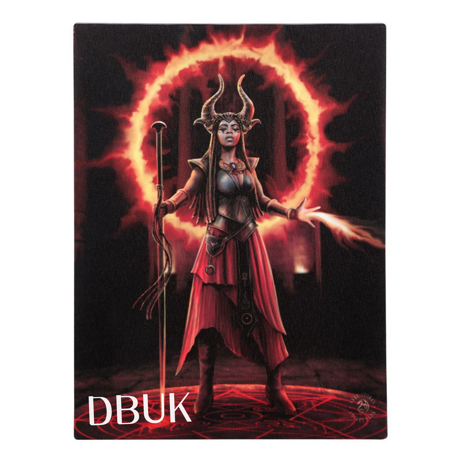 19cm x 25cm Fire Element Sorceress Canvas Plaque by Anne Stokes