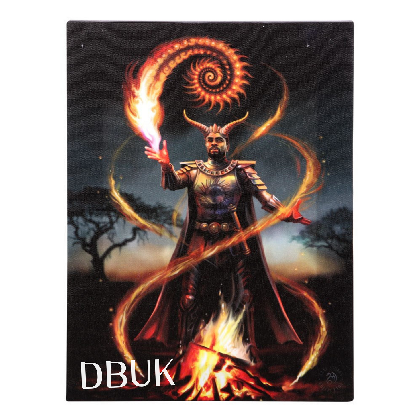 19cm x 25cm Fire Element Wizard Canvas Plaque by Anne Stokes
