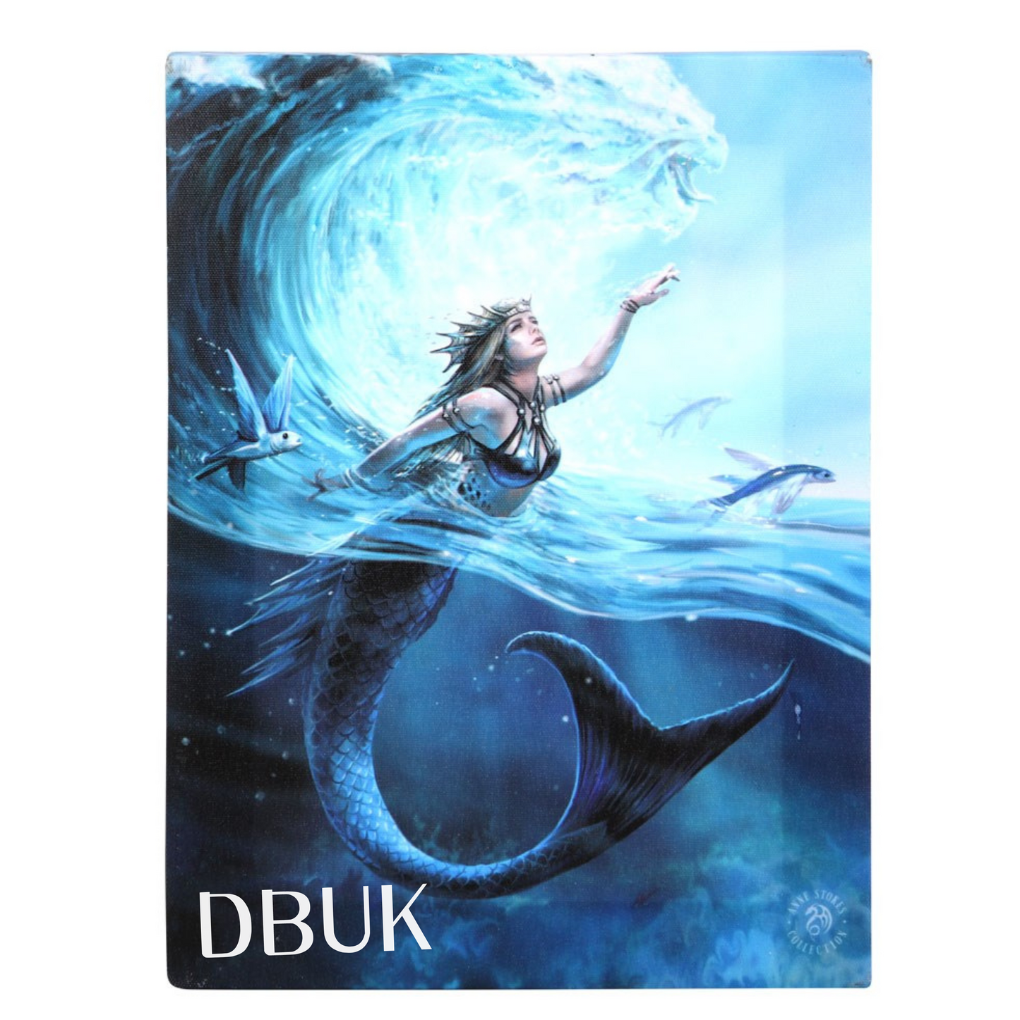 19cm x 25cm Water Element Sorceress Canvas Plaque by Anne Stokes