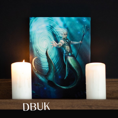 19cm x 25cm Water Element Wizard Canvas Plaque by Anne Stokes