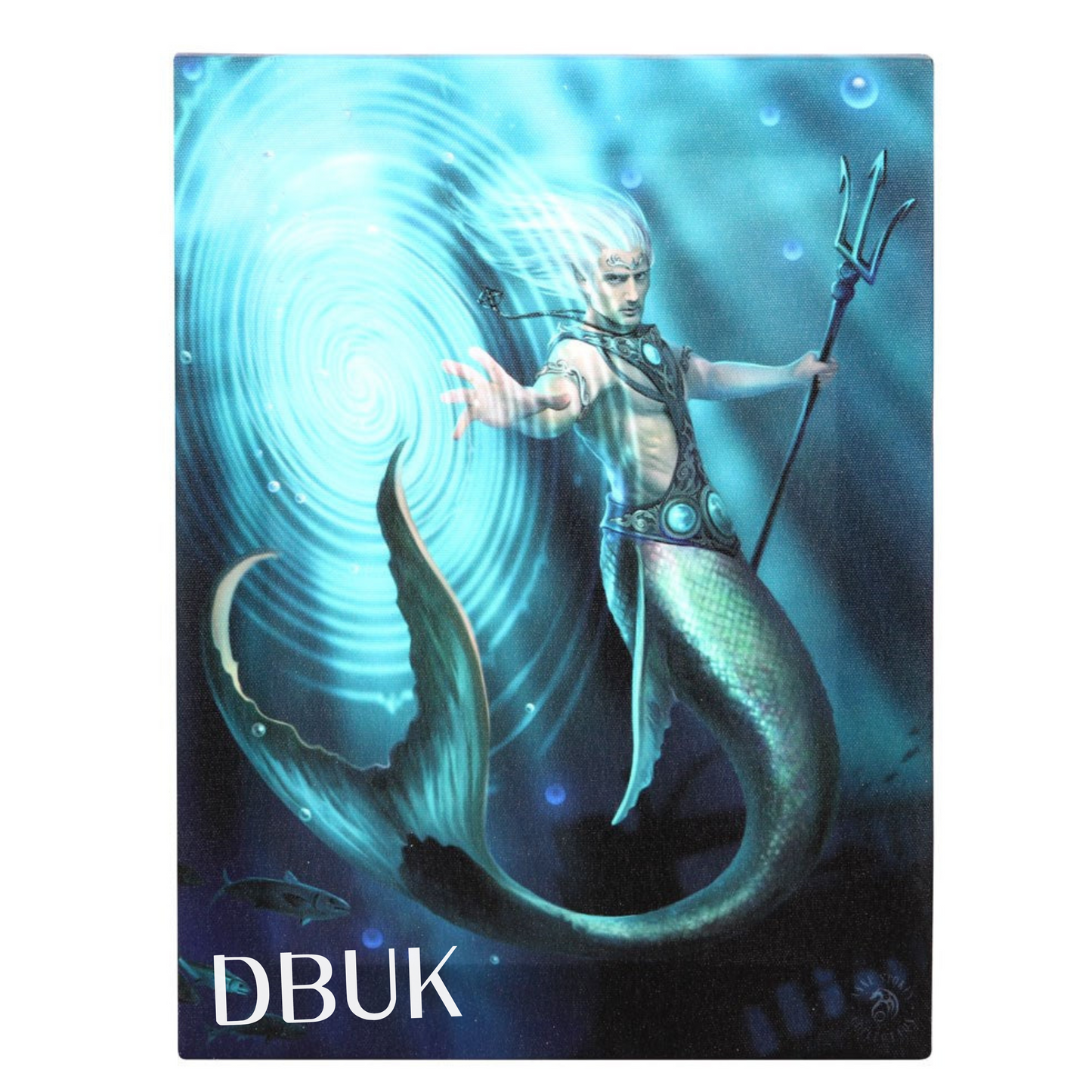 19cm x 25cm Water Element Wizard Canvas Plaque by Anne Stokes