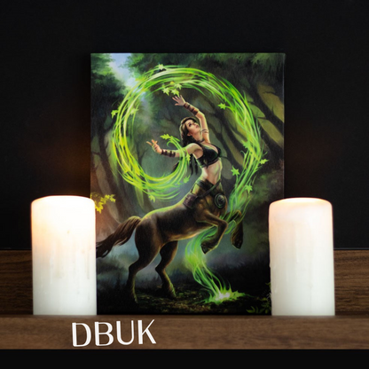 19cm x25cm Earth Element Sorceress Canvas Plaque by Anne Stokes