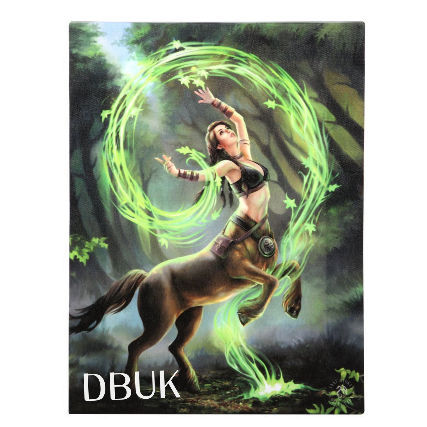 19cm x25cm Earth Element Sorceress Canvas Plaque by Anne Stokes