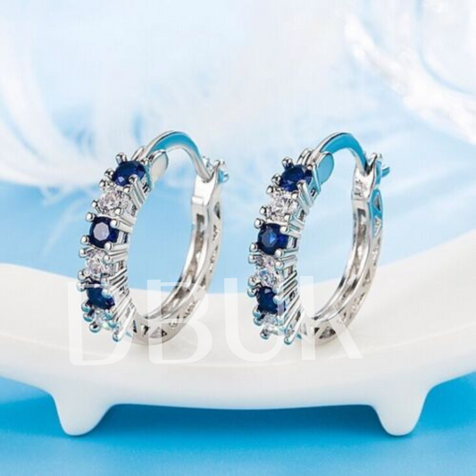 Blue Crystal Hoop Earrings