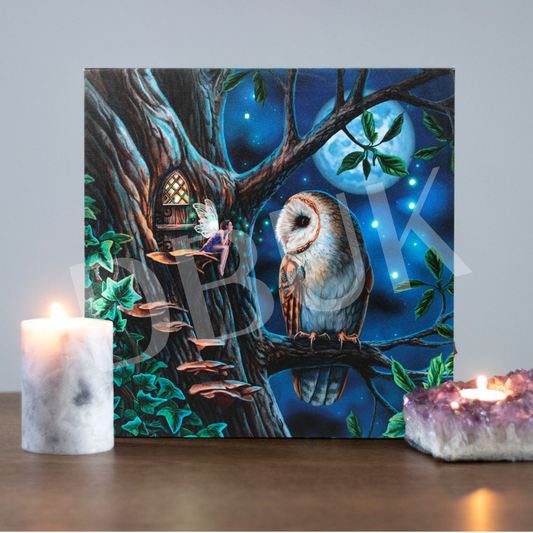 Fairy Tales Light Up Canvas by Lisa Parker