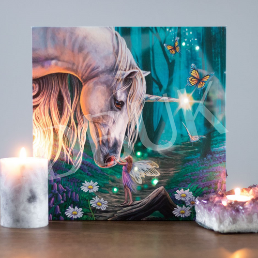 Fairy Whispers Light Up Canvas Plaque by Lisa Parker