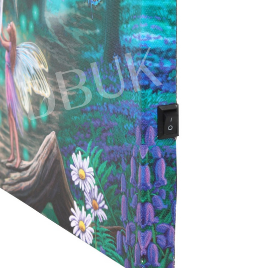 Fairy Whispers Light Up Canvas Plaque by Lisa Parker