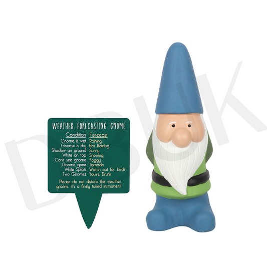 Large Weather Forecasting Gnome