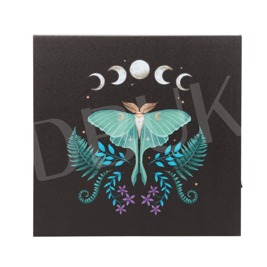 Luna Moth Light Up Canvas Plaque