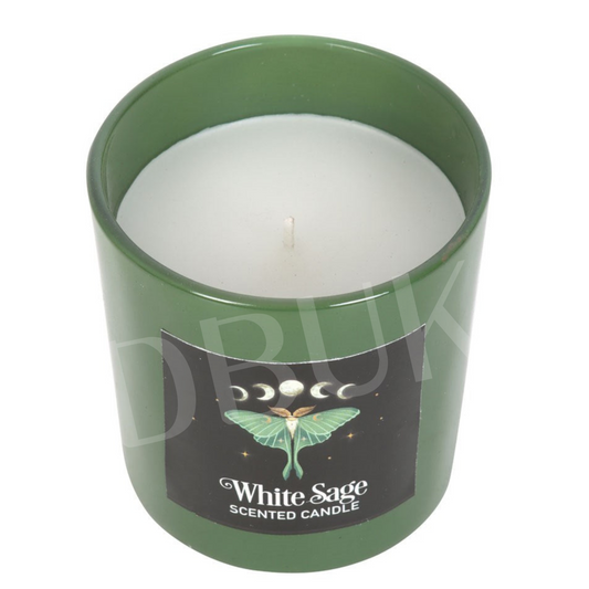 Luna Moth White Sage Candle