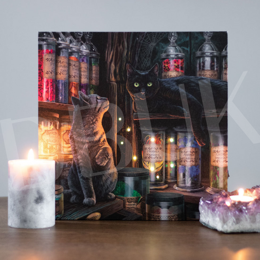Magical Emporium Light Up Canvas by Lisa Parker