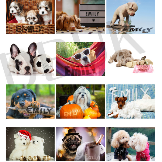 Personalised A4 Barking Mad Calendar