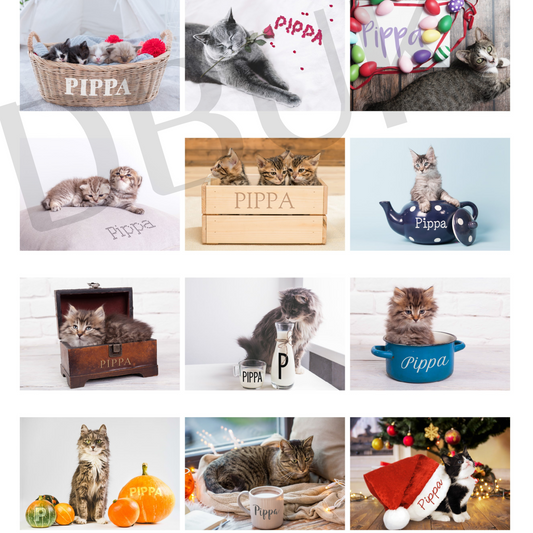 Personalised A4 Cats & Kittens Calendar