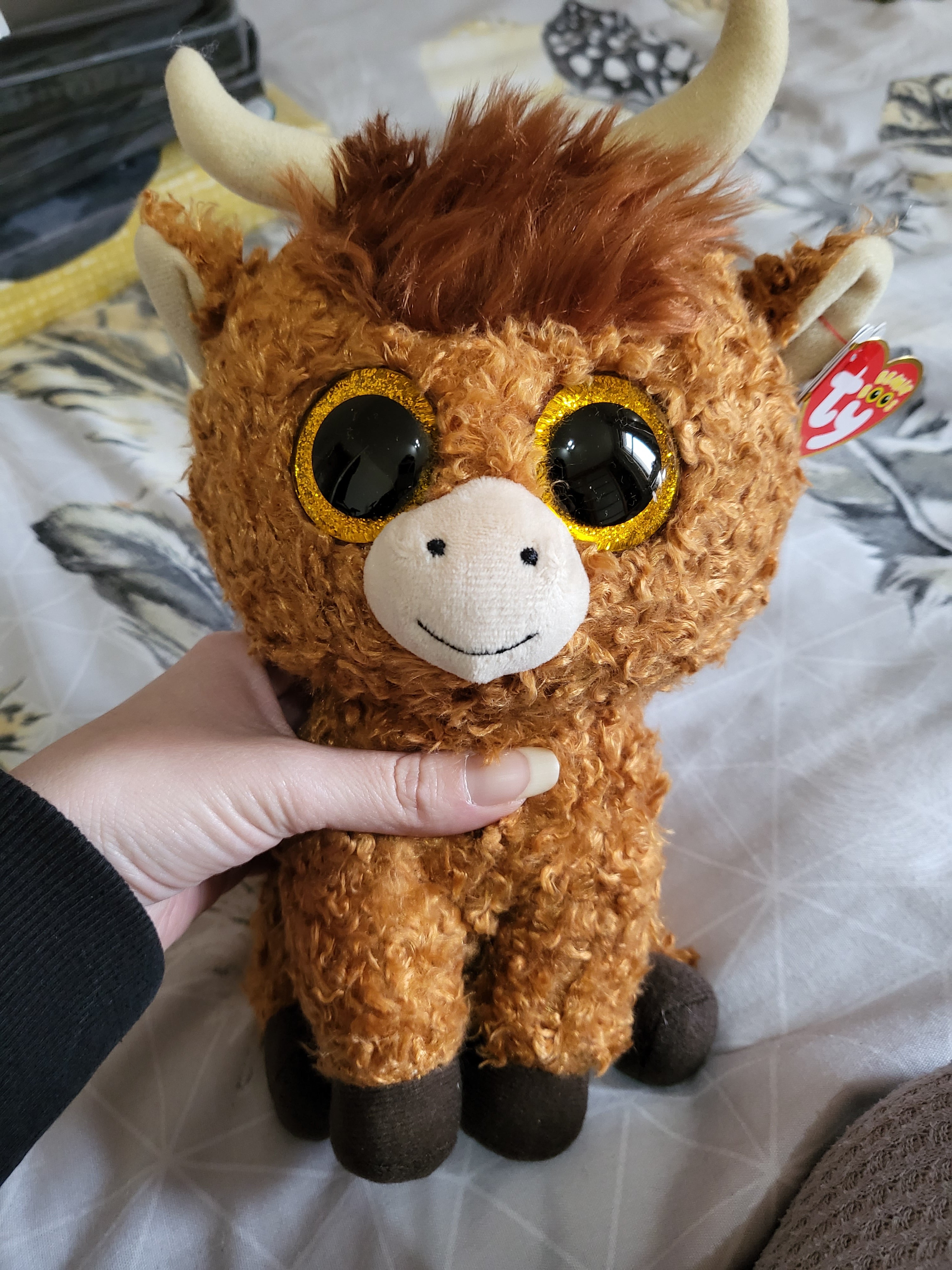 Beanie boo shop highland cow